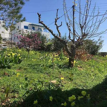 Irene's House Ferienhaus Piso Livadi