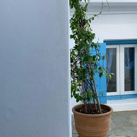 Irene's House * Πίσω Λιβάδι