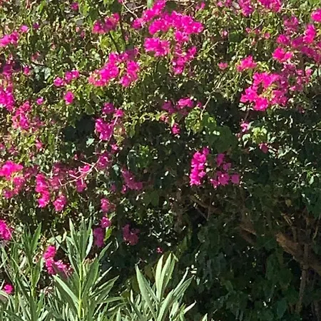 Σπίτι διακοπών Irene's House *