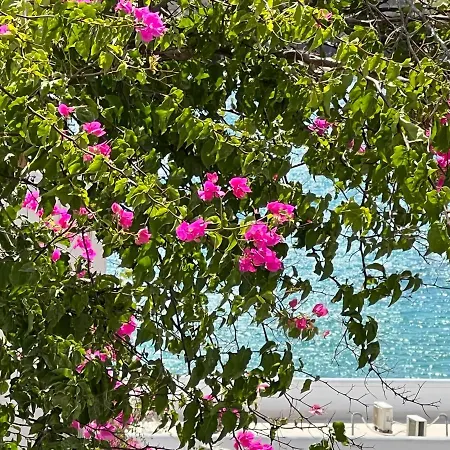 Irene's House Σπίτι διακοπών Πίσω Λιβάδι